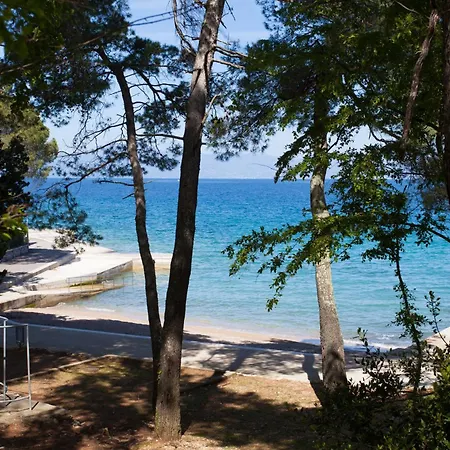 Family Friendly House With A Swimming Pool Ljutici, Krk - 25039 *